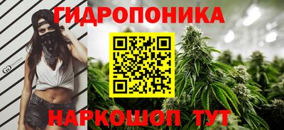 гидра Лесосибирск